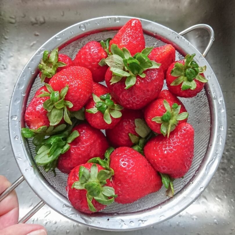 Colander Stainless Steel Mesh Strainer