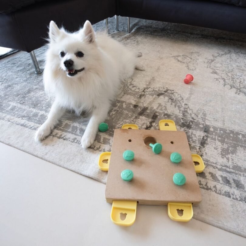 DR Dogs Food Puzzle Feeder Toys