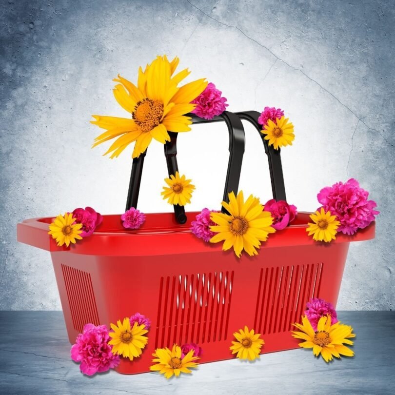 BESTOYARD Plastic Fruit Basket