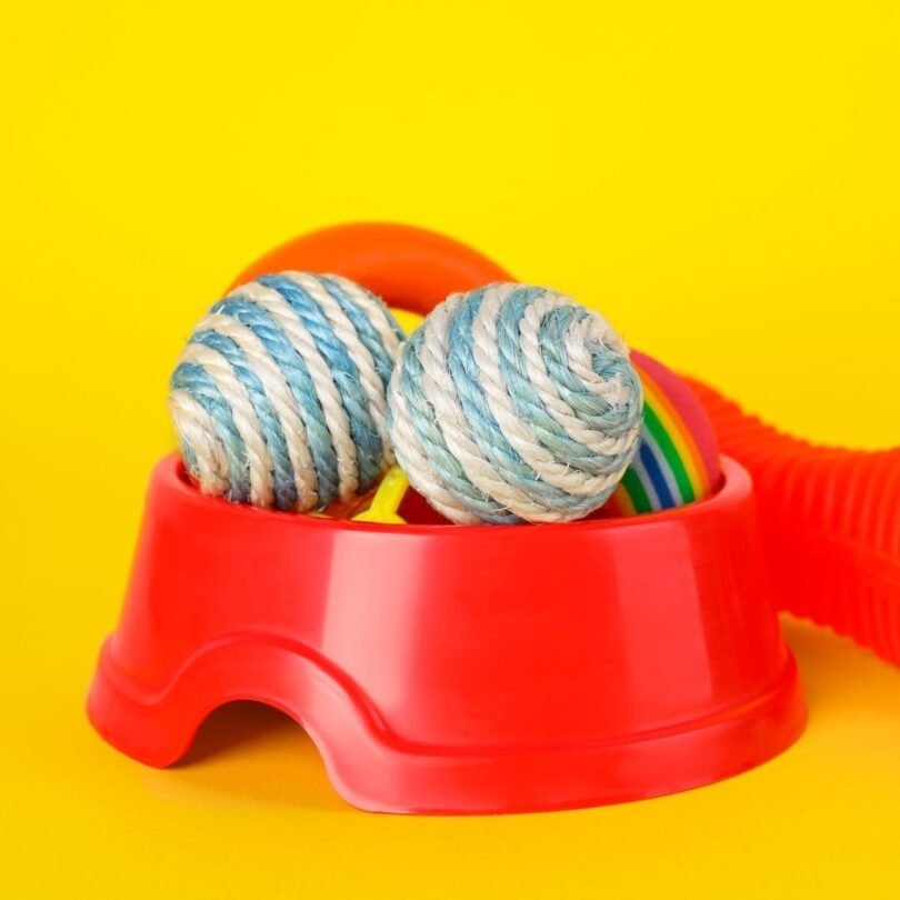Chuckit! Ultra Ball Dog Toy Pack of 2