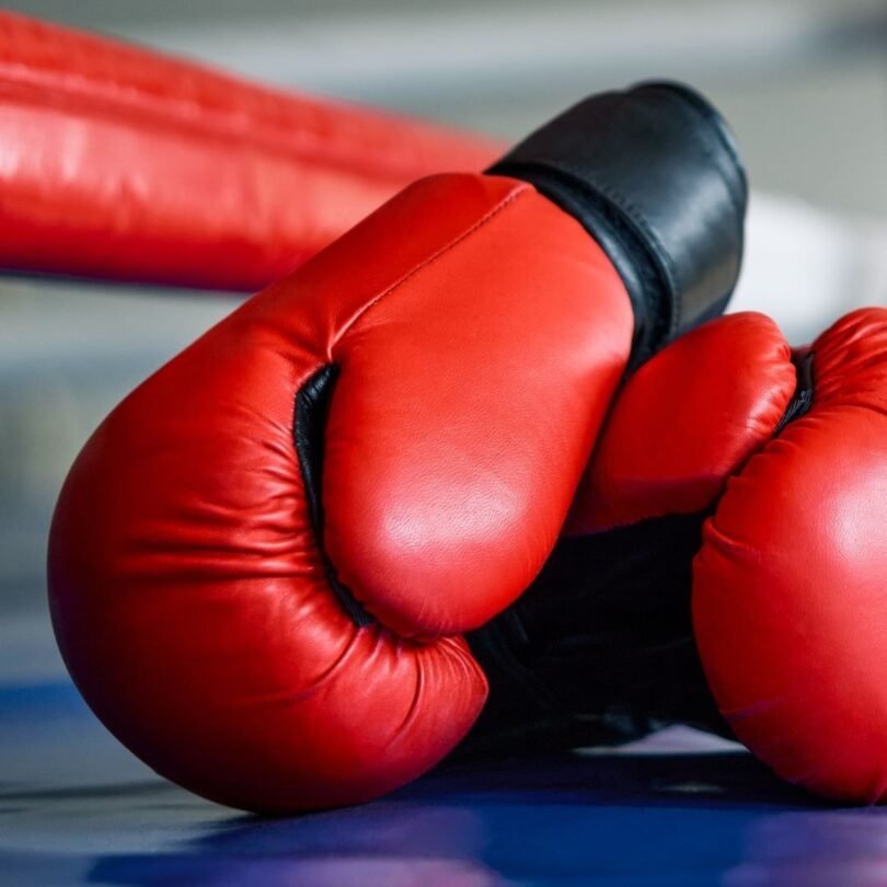 Sunny Days Fitness Focus Punch Mitts