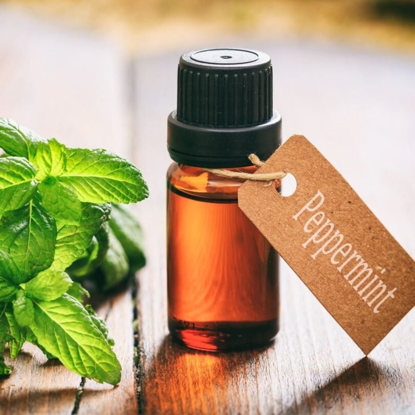 Metor Organic Peppermint Essential Oil
