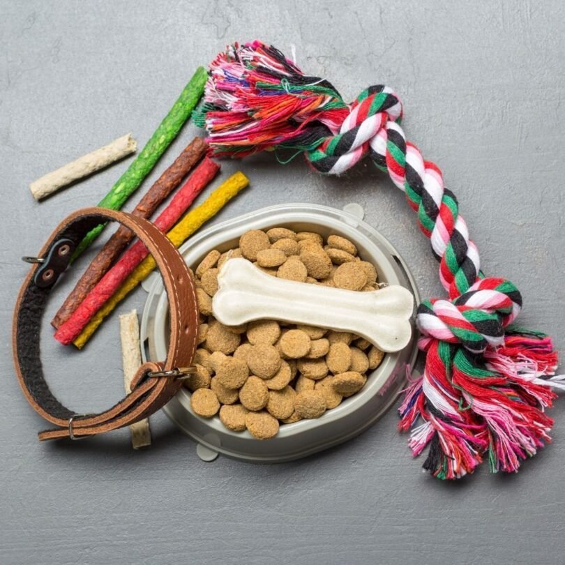 DEM 5-Piece Pets accessories Pack