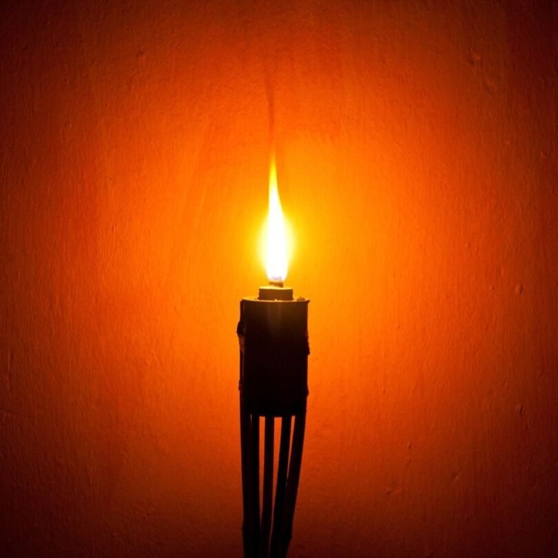 TIKI King Outdoor Torch for Backyard
